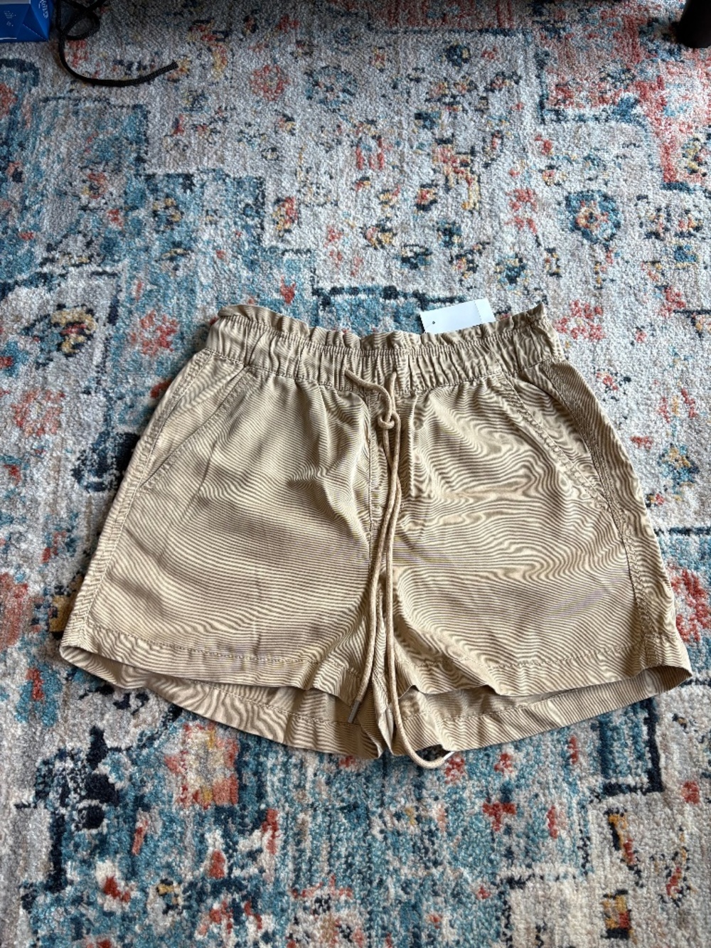 LOFT Shorts